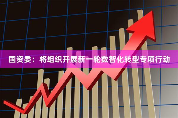 国资委：将组织开展新一轮数智化转型专项行动