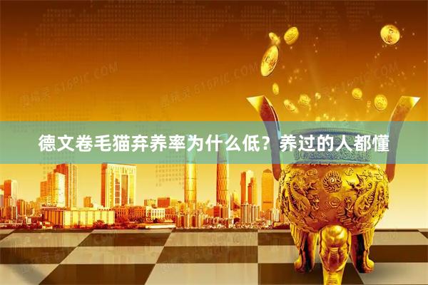 德文卷毛猫弃养率为什么低？养过的人都懂