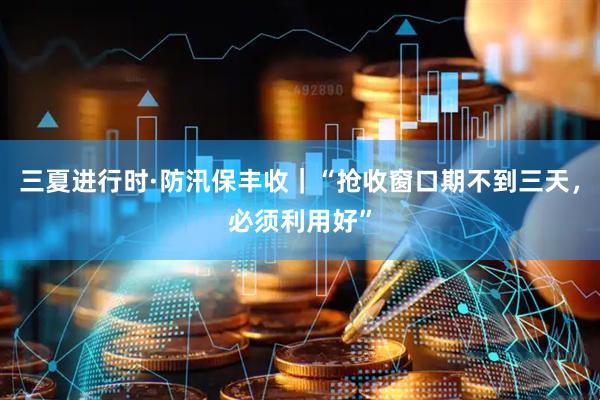 三夏进行时·防汛保丰收｜“抢收窗口期不到三天，必须利用好”