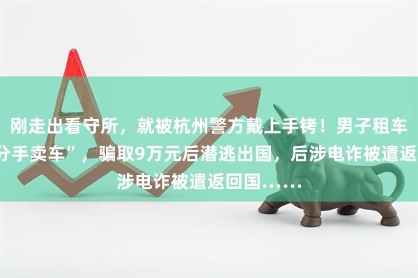 刚走出看守所,就被杭州警方戴上手铐!男子租车后谎称“分手卖车”,骗取9万元后潜逃出国,后涉电诈被遣返回国……