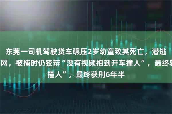 东莞一司机驾驶货车碾压2岁幼童致其死亡，潜逃19年后落网，被捕时仍狡辩“没有视频拍到开车撞人”，最终获刑6年半